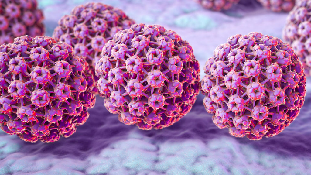 STI Testing & Treatment