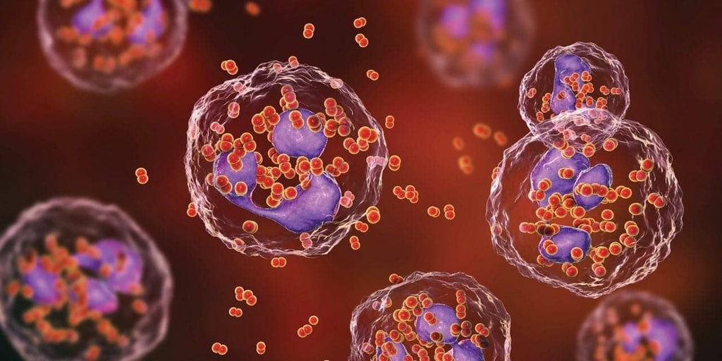 STI & STD Testing